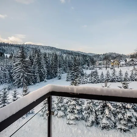 Pod Samowarem בית הארחה טליץ'