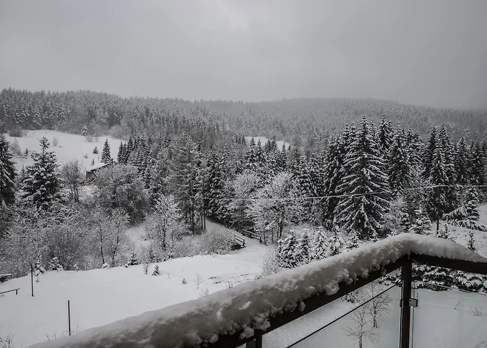 Pod Samowarem 3* Tylicz