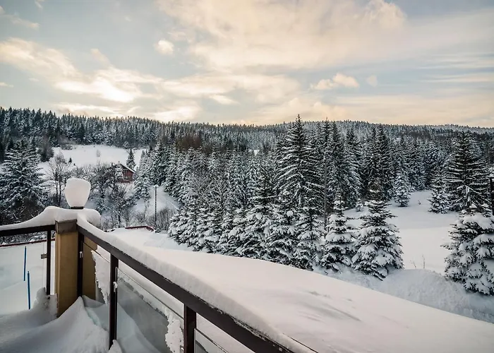 Gasthuis Pod Samowarem